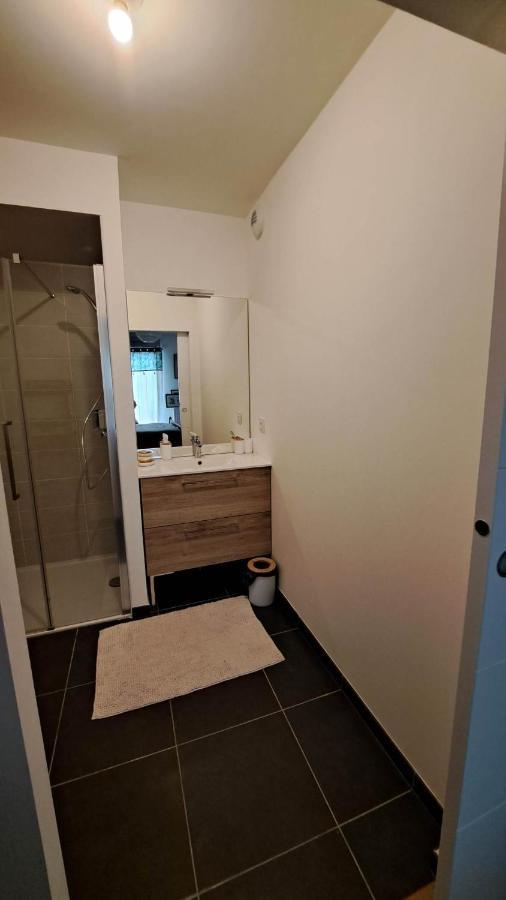 Joli Appartement Rdc T2 Tours Luaran gambar